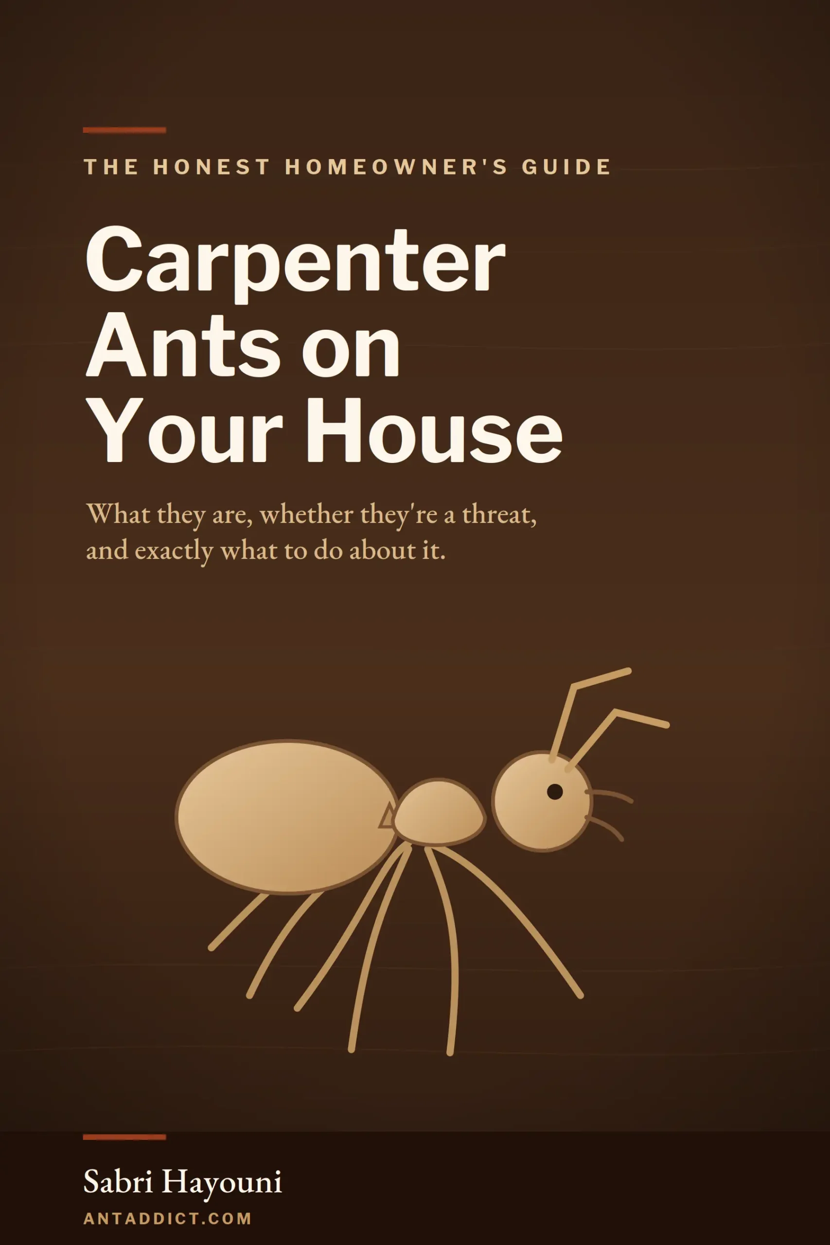 Carpenter Ants on Your House cover