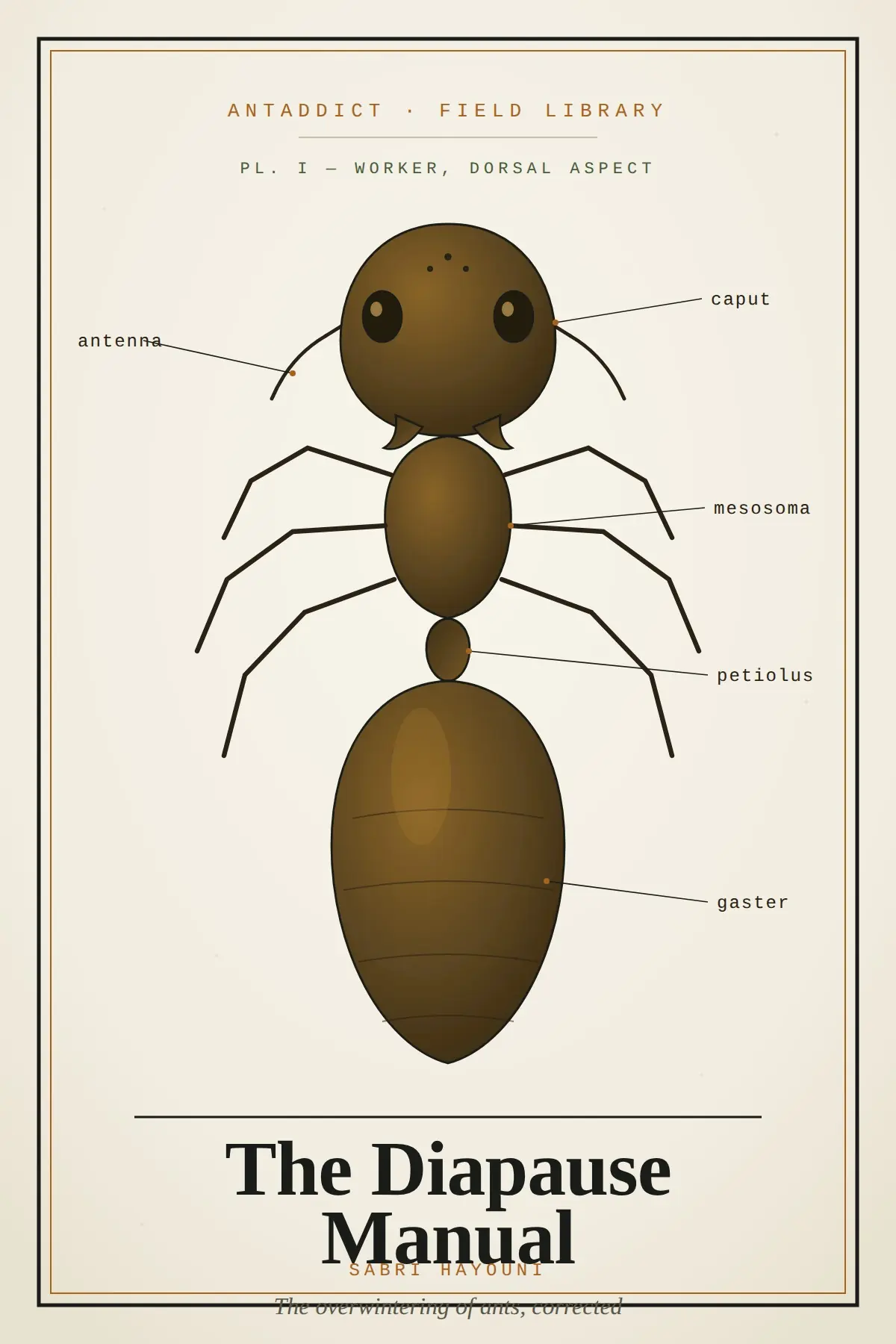 The Diapause Manual cover, a scientific plate of a worker ant