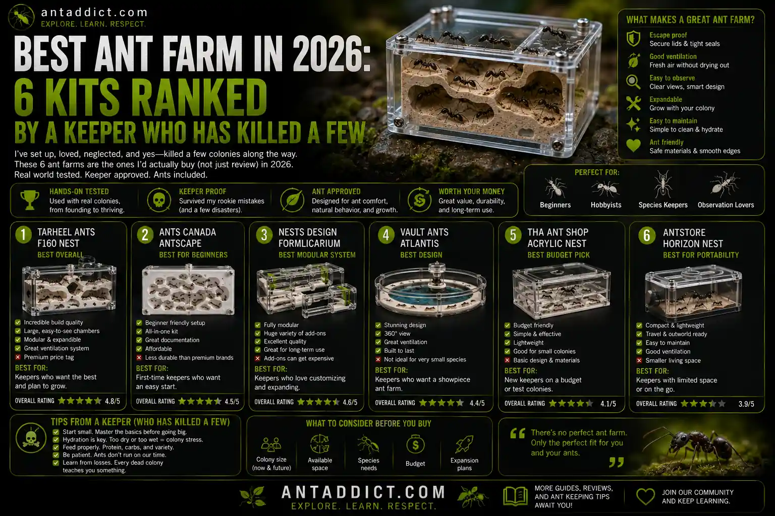 Best Ant Farm in 2026: 6 Kits Ranked by a Keeper Who Has Killed a Few