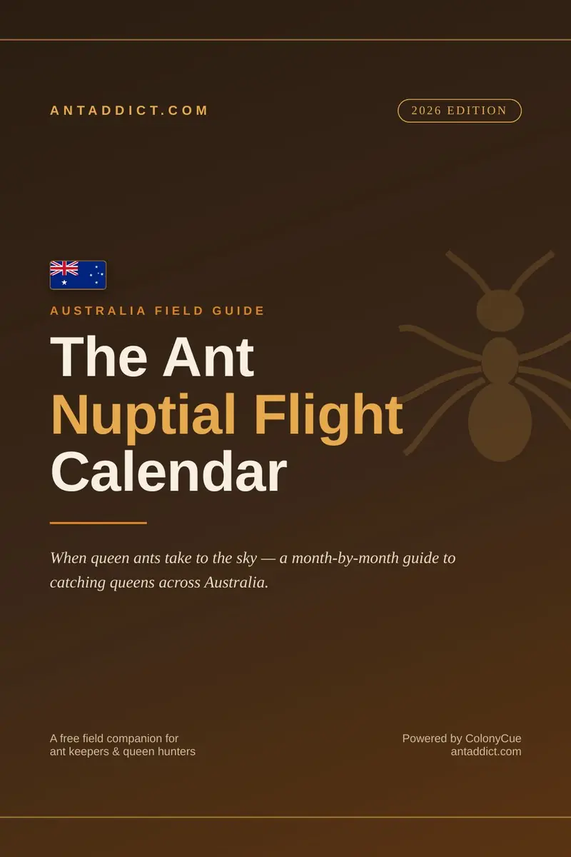 Australian Ant Nuptial Flight Calendar cover