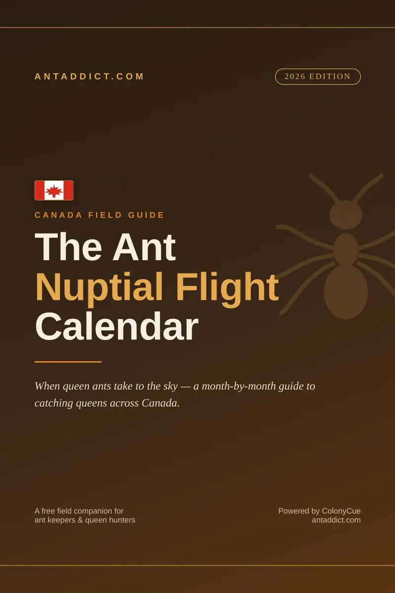 Canadian Ant Nuptial Flight Calendar cover