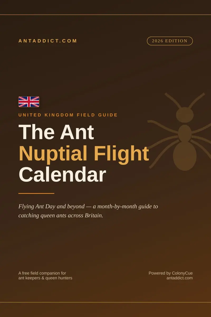 United Kingdom Ant Nuptial Flight Calendar cover