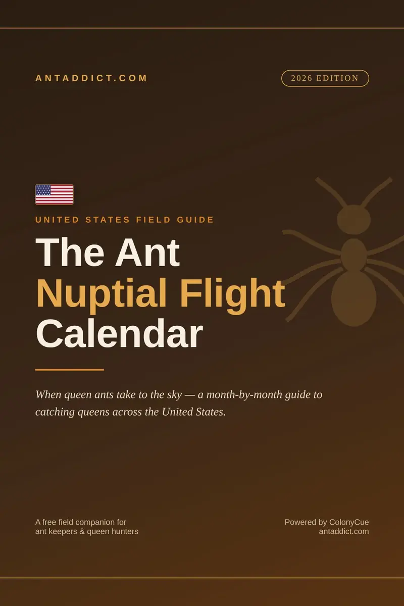 United States Ant Nuptial Flight Calendar cover