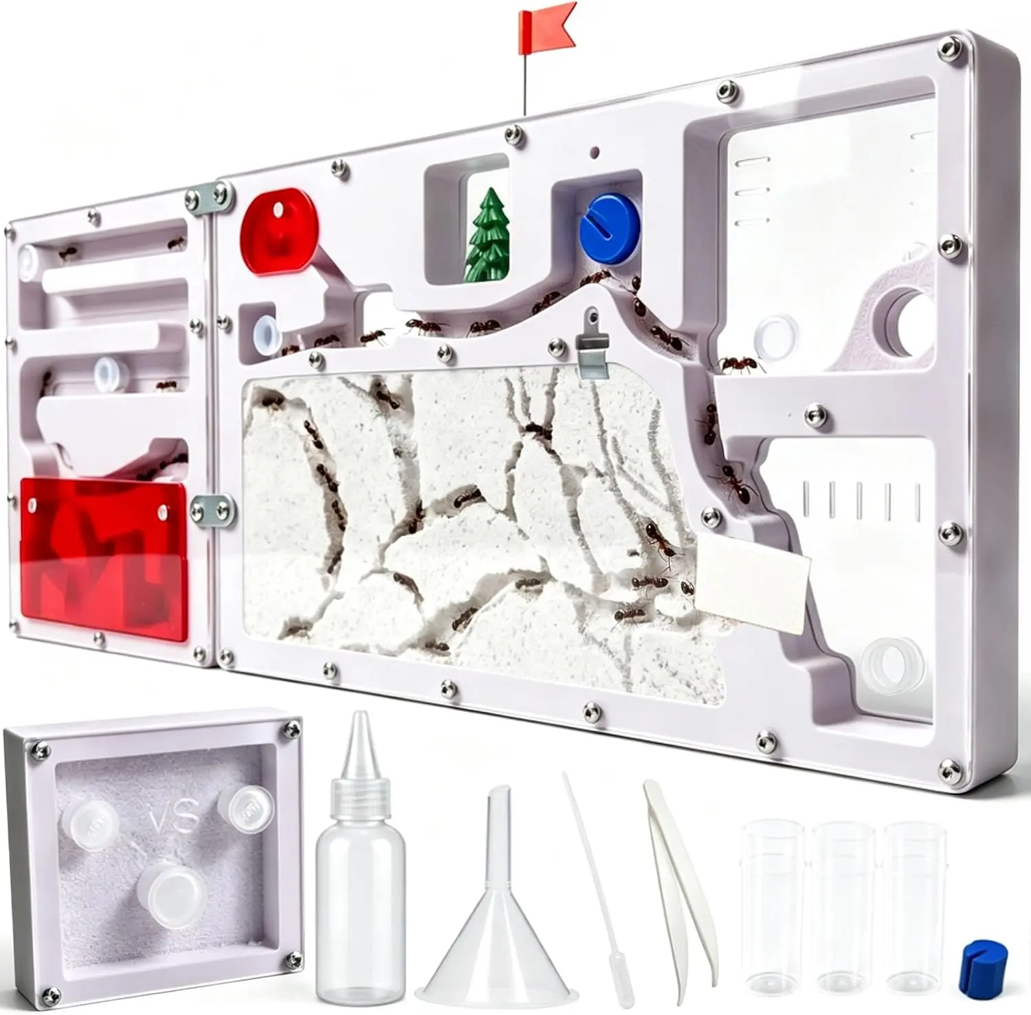 Illustration of a large classroom ant farm with sand tunnels and a magnifying glass