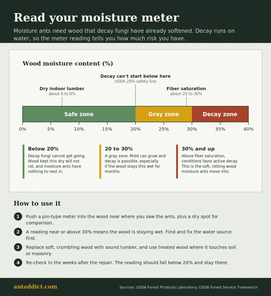 Wood moisture content scale showing the safe zone below 20 percent, the gray zone from 20 to 30 percent, and the decay zone above 30 percent